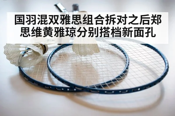 badminton racket