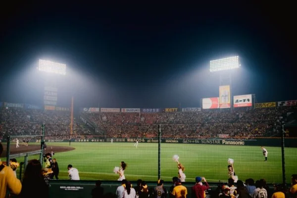 baseball stadium at night